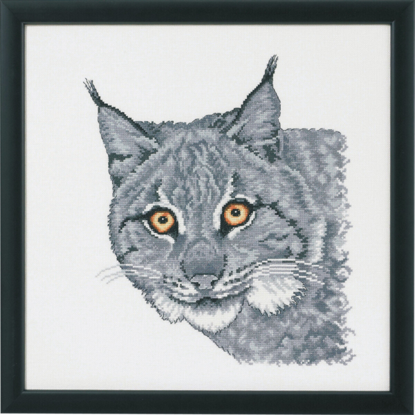 Lince en gris R5615