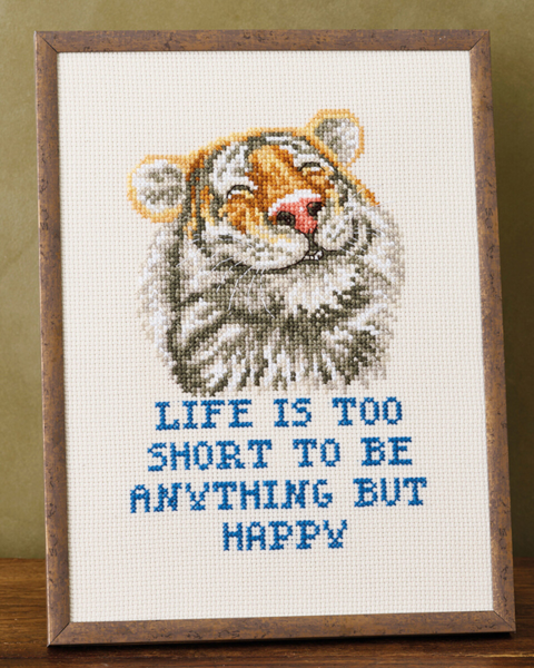 Kit de Bordado Anything R5799 18 x 24 cm