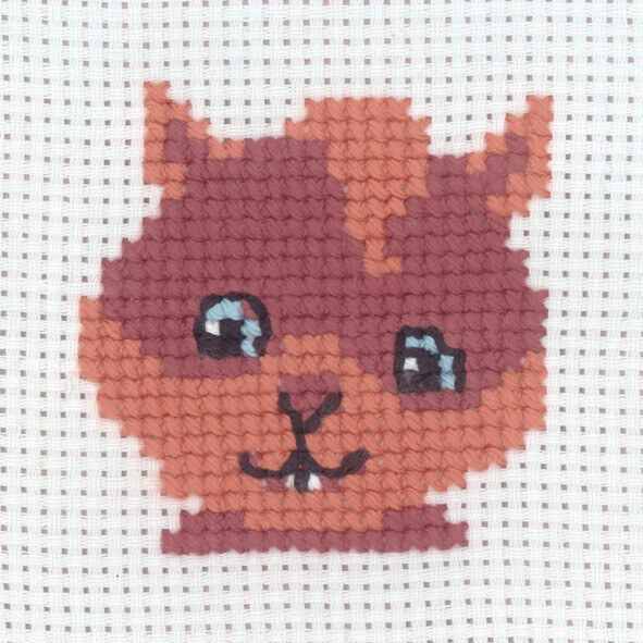 Kit de Bordado Ardilla 8 x 8 cm
