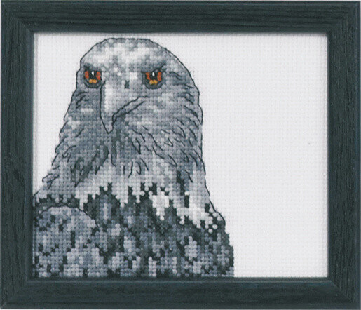 Kit de bordado Águila R5497 9 x 11 cm