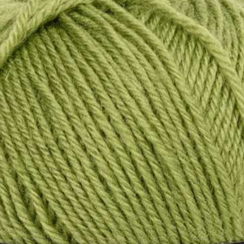 Mayflower 1 Class 13 Mar Caspio