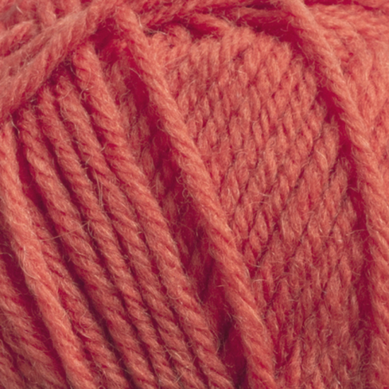 Svarta Fåret Ulrika 539 Tomate cherry