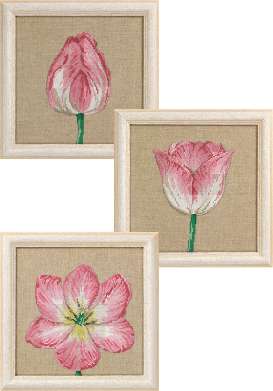 Kit de Bordado Tulipanes en Fases 3 x 25 x 25 cm