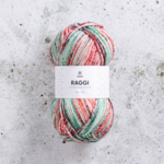 Järbo Raggi 100g 15261 Chili Chives