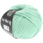Cool Wool Big 978 Verde pastel