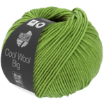 Cool Wool Big 1022 Verde trébol