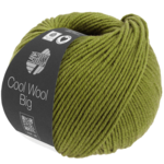 Cool Wool Big 1021 Verde mayo