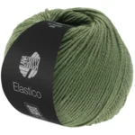 Lana Grossa Elastico 156 Verde adelfa