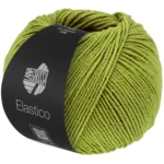 Lana Grossa Elastico 202 Pistacho