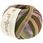 Lana Grossa Landlust Die Sockenwolle 716 Marrón canela/Rosa/Ecru/Oliva/Amarillo/Verde menta/Lila
