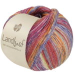 Lana Grossa Landlust die Sockenwolle Seide 335 Naranja/Gris/Amarillo limón/Azul claro/Azul/Violeta/Fucsia/Rojo claro a rayas