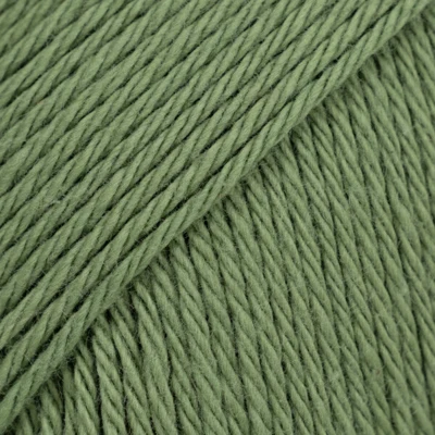 55 Helecho (Uni Colour)