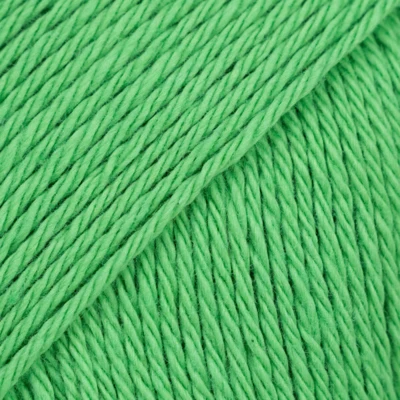 46 Verde perico (Uni Colour)