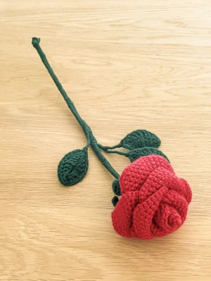 Crochet Rosa