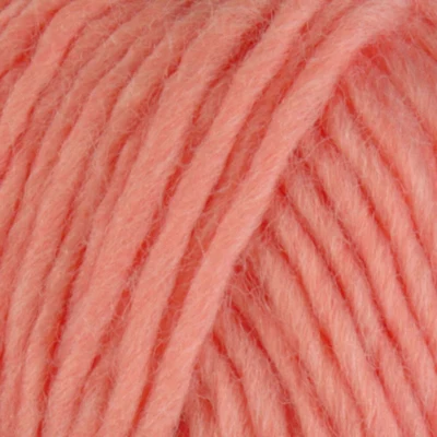563 Coral