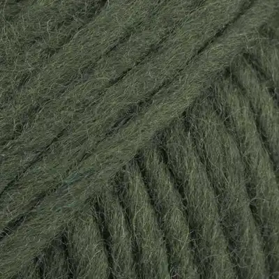 97 Verde hiedra oscuro (Uni Colour)